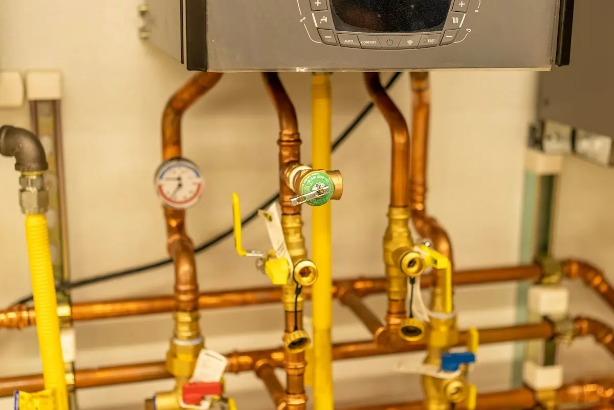 Licensed technician providing Sump Pump Repair for a homeowner in La Grange